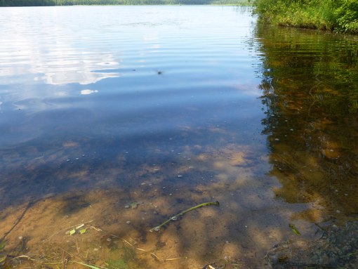 Озерная одиссея 2, выездная тренировка 21 июля в Токсово.